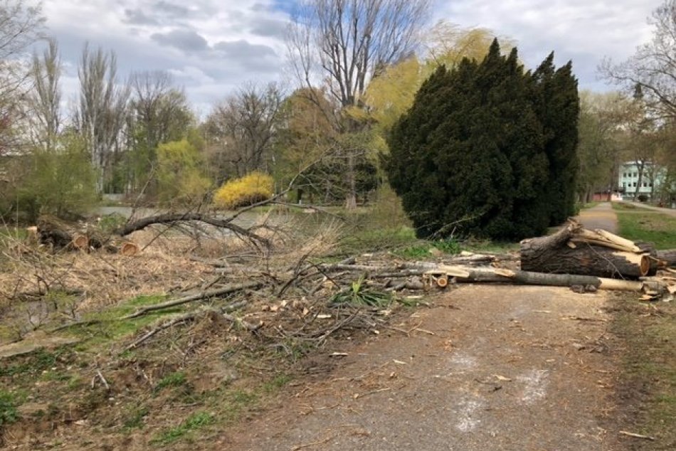 Ilustračný obrázok k článku Nový park prejde výraznou REVITALIZÁCIOU: Pribudne osvetlenie aj lavičky