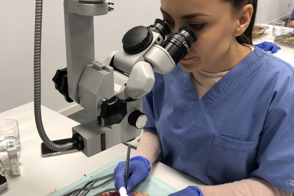 Ilustračný obrázok k článku Takéto zákroky bežne neuvidíte: V bystrickej nemocnici šili kuracie stehienka, FOTO