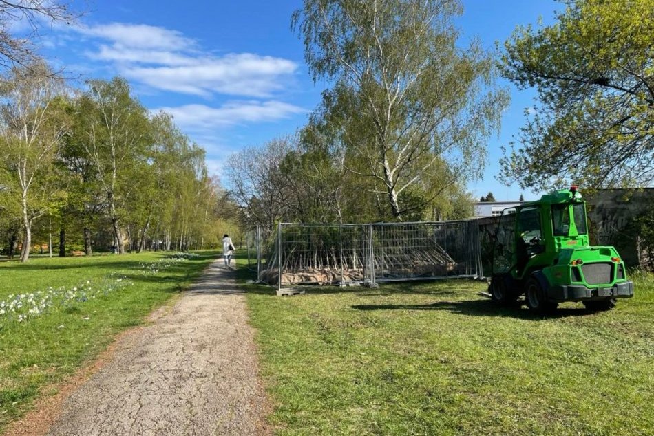 Ilustračný obrázok k článku Začala sa revitalizácia Brezového hája: Pribudnú nové stromy aj piknikové stoly