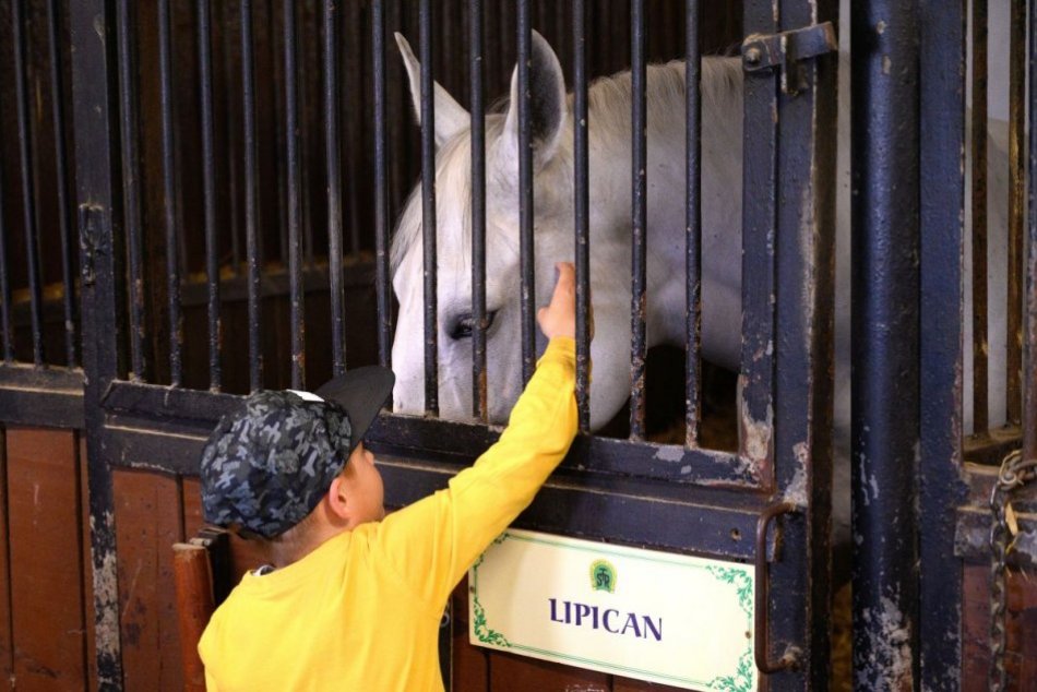 Ilustračný obrázok k článku Národný žrebčín odštartoval jazdeckú sezónu: Pripravil si obľúbený galaprogram