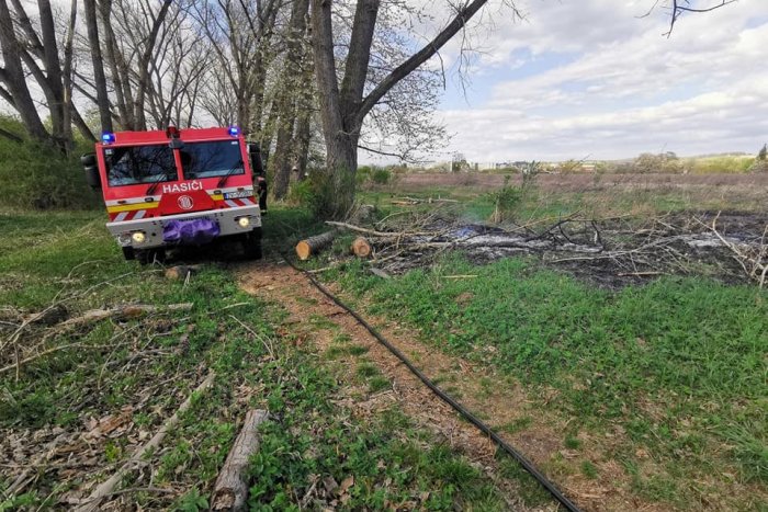 Ilustračný obrázok k článku Vo zvolenskom parku vypukol požiar: Zasahovali mestskí policajti aj hasiči