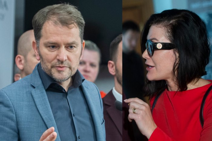 Ilustračný obrázok k článku Cigániková VTRHLA na tlačovku OĽaNO a vykričala Matovičovi: Hanbi sa, ako sa správaš!