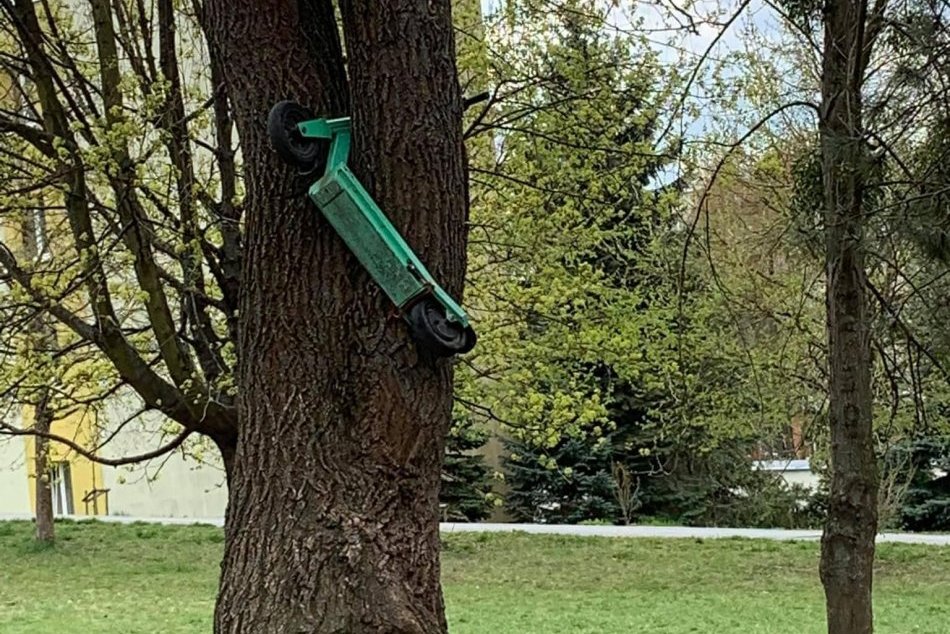 Ilustračný obrázok k článku KURIOZITY z Prešova: Zdieľané kolobežky už skončili na strome aj v koši, FOTO