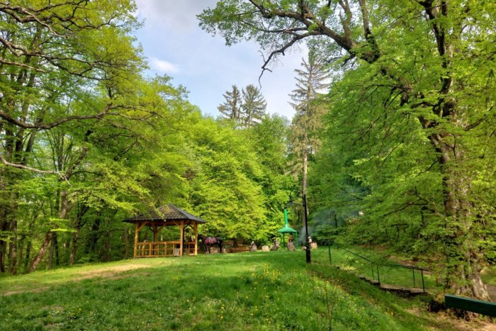 Ilustračný obrázok k článku Cesta v kežmarských lesoch je atraktívnejšia: Stala sa vyhľadávanou trasou pre turistov