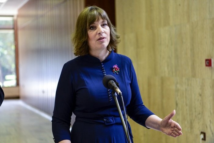 Ilustračný obrázok k článku Remišová: Verím, že strana SaS podporí balíček protiinflačnej pomoci