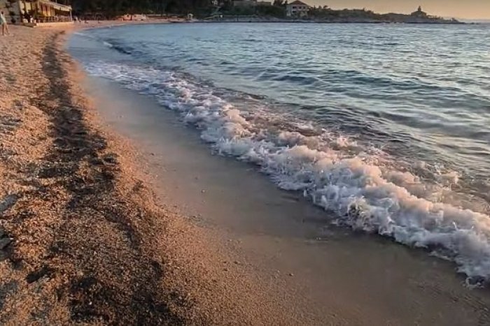 Ilustračný obrázok k článku Zamorené Chorvátsko! K medúzam pribudli ďalšie POTVORY, prekvapili aj odborníkov