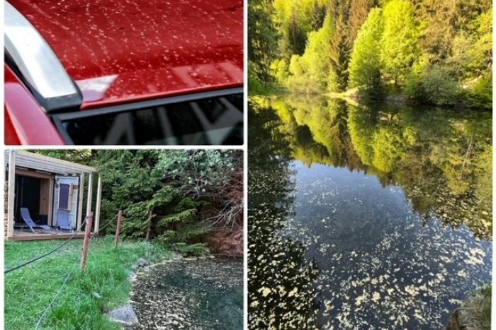 Ilustračný obrázok k článku ČUDNÝ žltý prach "terorizuje" celé Slovensko: Nie je to piesok zo Sahary! Máme sa BÁŤ?