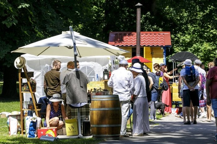 Ilustračný obrázok k článku Kam v Bratislave ZADARMO: Obdivujte kone na nábreží, relaxujte na PIKNIKU a trhoch