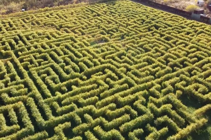 Ilustračný obrázok k článku Atrakcia svetového formátu: Na Slovensku vzniklo NAJVÄČŠIE BLUDISKO v strednej Európe