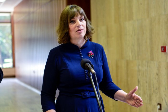 Ilustračný obrázok k článku Remišová: Fico má so Slovenskom plán: Všade dosadiť 'smeráckych poskokov' a zase kradnúť!