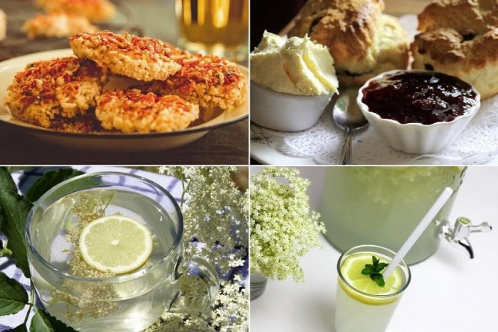 Ilustračný obrázok k článku Začína zber liečivej bazy: Pripravte si limonádu, džem alebo chutný vyprážaný dezert