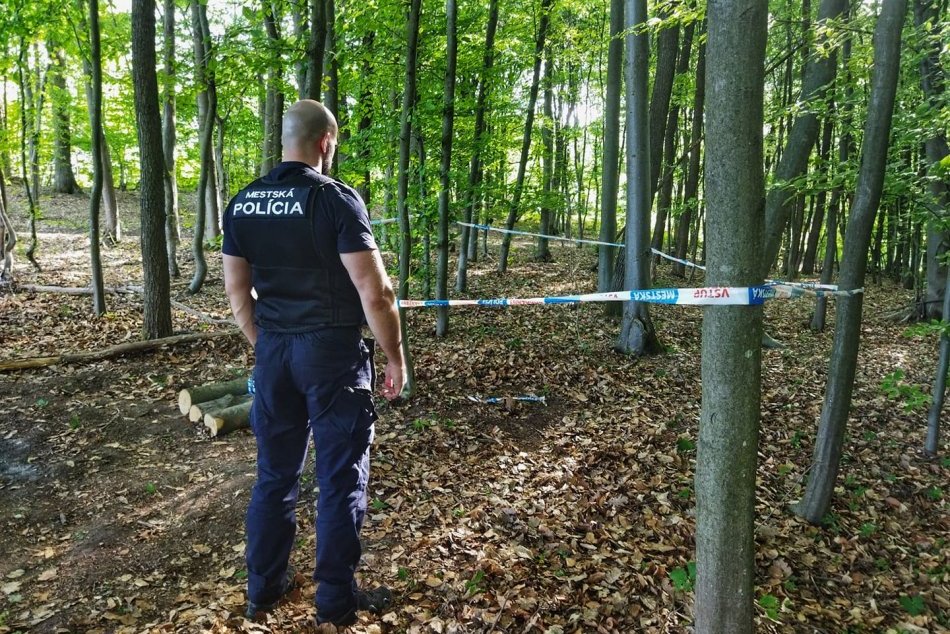 Ilustračný obrázok k článku Hrozivý nález v lese nad Zvolenom: Zasahovať musel aj pyrotechnik! FOTO