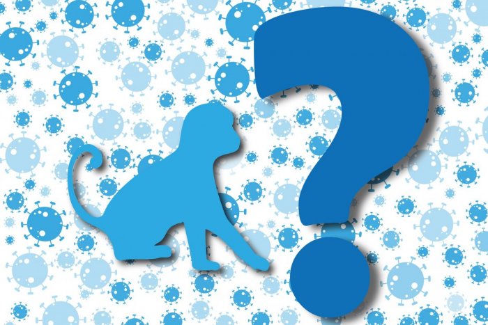 Ilustračný obrázok k článku Virológ Klempa o opičích kiahniach, ako sa prenášajú? Oproti covidu je tu zásadný ROZDIEL