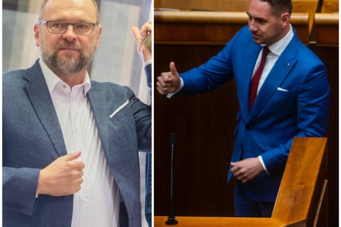 Ilustračný obrázok k článku Gyimesi z OĽANO vyzýva Sulíka, aby odstúpil: POŠKODIL Slovensko a je to LENIVÝ diletant!