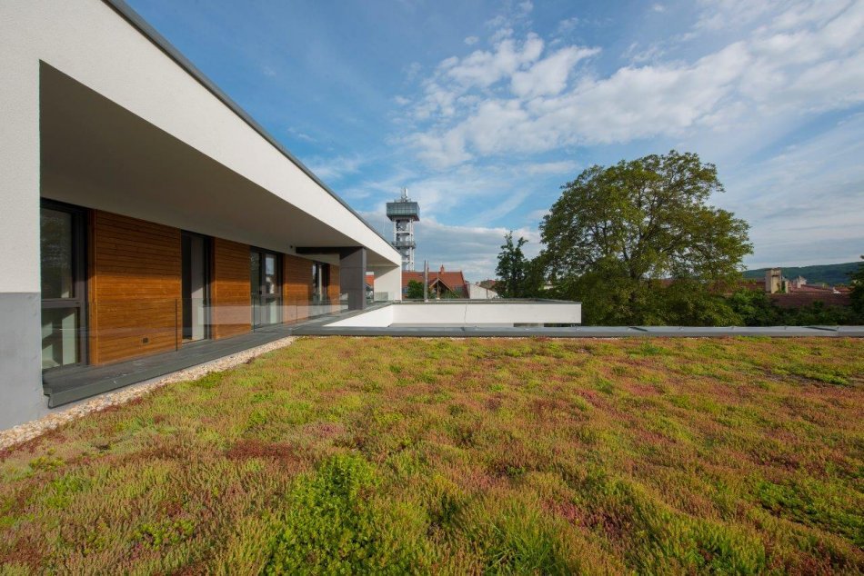 Ilustračný obrázok k článku O koľko stupňov vyrovná zelená strecha teplotné výkyvy? Zmerali to na Žilinskej univerzite