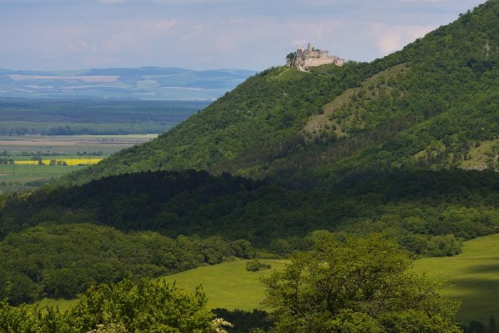 Ilustračný obrázok k článku Turistický vláčik Záhoráčik tento rok jazdiť NEBUDE: Nahradí ho BAJKBUS