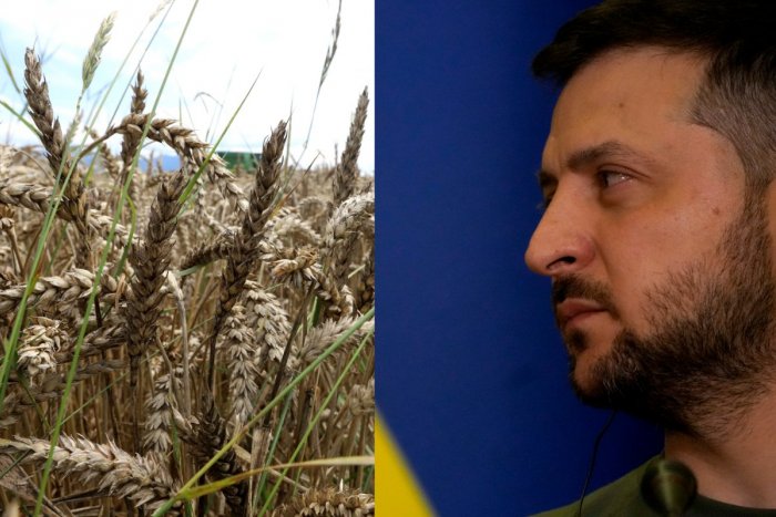 Ilustračný obrázok k článku Mrazivé slová Zelenského: Ak sa neskončí blokáda obilia, hrozí HLADOMOR a pád vlád!