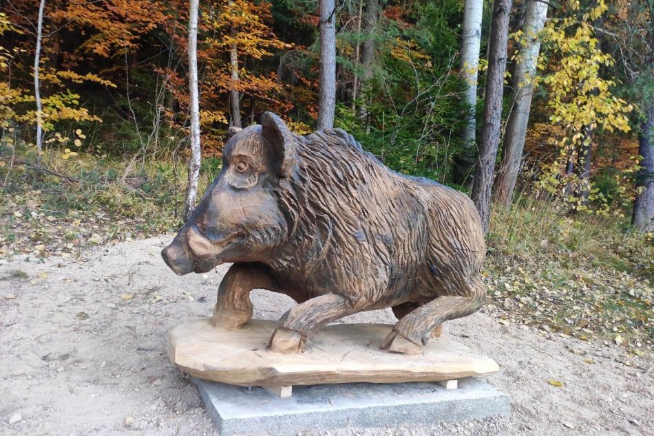 Ilustračný obrázok k článku NOVINKA v Poprade zaujala stovky detí: Súťažili s drevenými zvieratkami v lese, FOTO