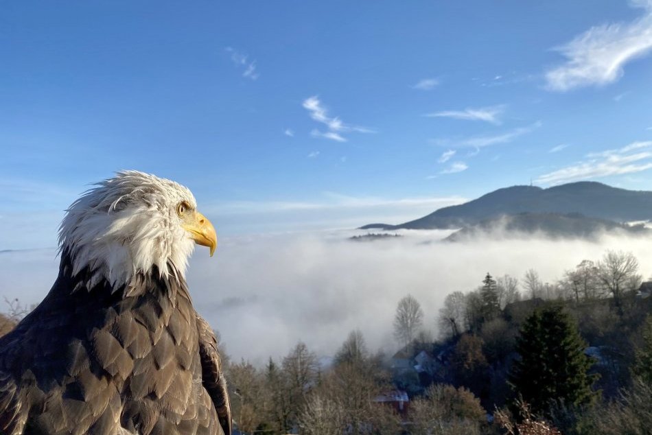 Ilustračný obrázok k článku Nixon je novou HVIEZDOU internetu: Z výšky zachytáva nielen krásy Slovenska, VIDEO