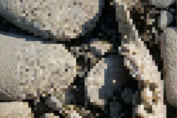 Ilustračný obrázok k článku Otrasný prípad vo Veľkom Šariši: Pri rodinnom dome objavili ľudský kostrový nález!