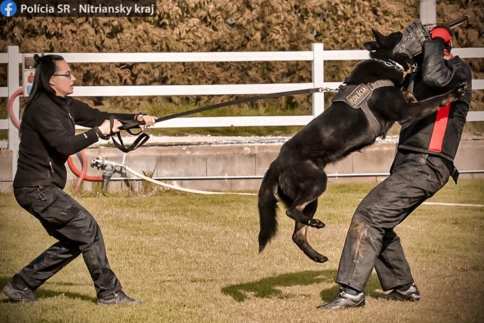 Ilustračný obrázok k článku Petra o ňom hovorí s hrčou v hrdle: Nitrianska polícia prežíva bolestivú stratu kolegu
