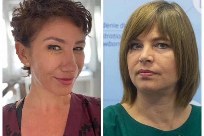 Ilustračný obrázok k článku Europoslankyňa Nicholsonová: Kvôli ministerke Remišovej sme prišli o 8 miliárd!