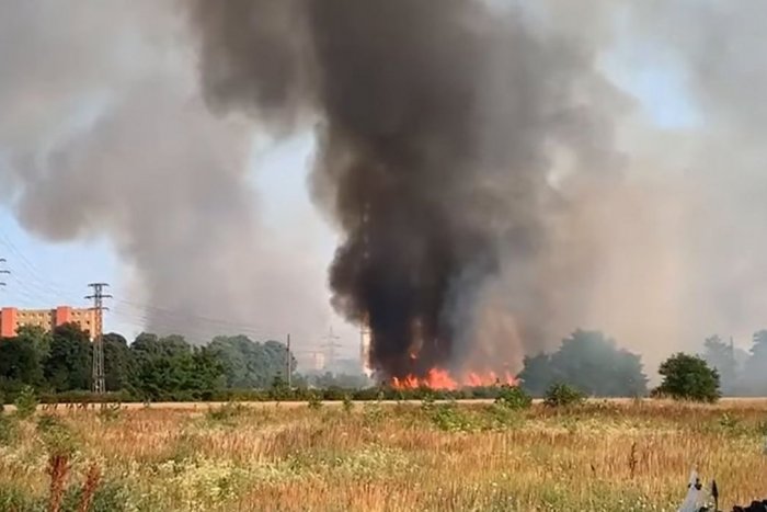 Ilustračný obrázok k článku Veľký POŽIAR v Trnave: Plamene sa blížili k bytovkám, rýchly zásah hasičov! FOTO