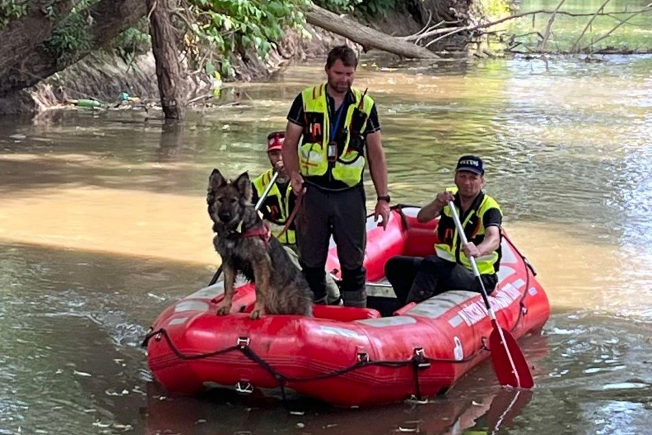 Ilustračný obrázok k článku MIMORIADNE PÁTRANIE: Pri Toryse sa stratil 2-ročný chlapec z okresu Prešov, FOTO