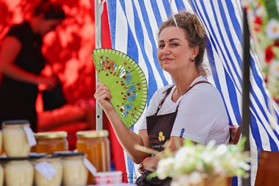 Ilustračný obrázok k článku Kráľovská Nitra, vinobranie aj Nitránsky rínek: Takýto bude SEPTEMBER pod Zoborom