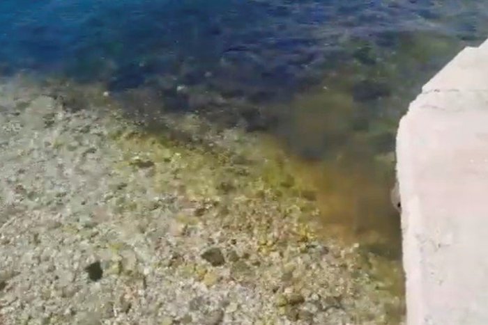 Ilustračný obrázok k článku Tomášovi sa na chorvátskej pláži zdvihol žalúdok: Kto sa chce kúpať v SPLAŠKOCH?