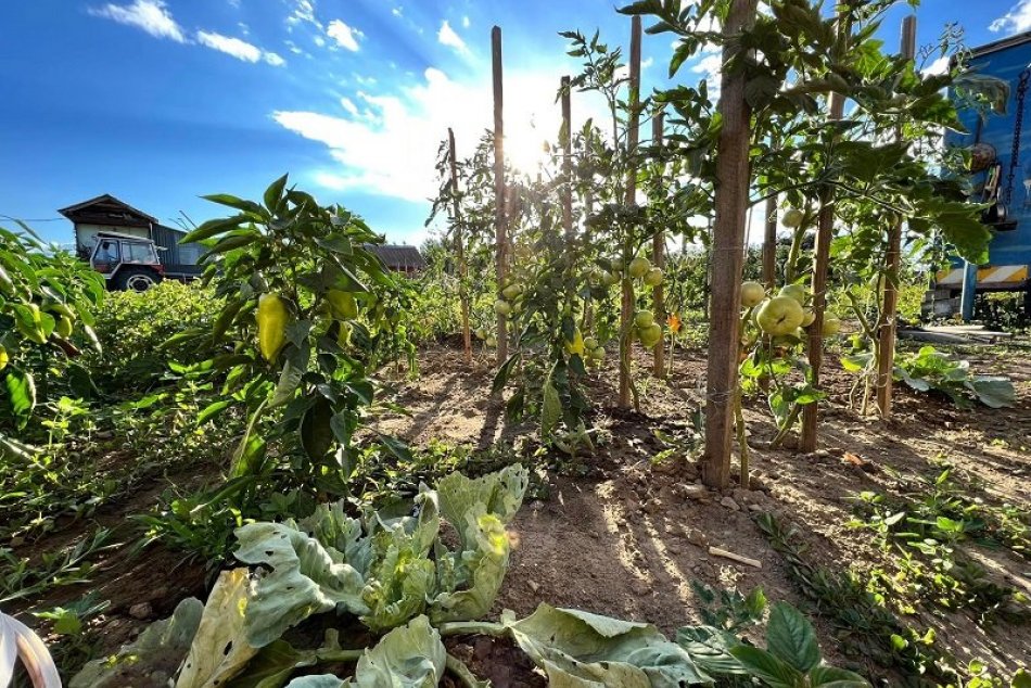 Ilustračný obrázok k článku Úrodu ohrozuje EXTRÉMNE sucho: Medzi NAJZASIAHNUTEJŠÍMI regiónmi sú aj Pohronie a Hont