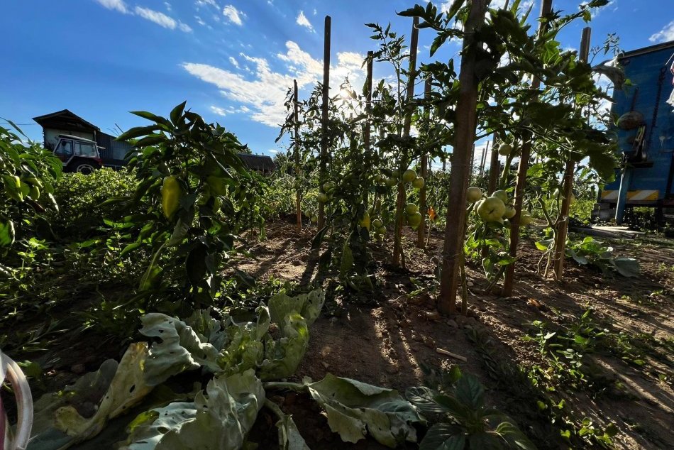 Ilustračný obrázok k článku Väčšinu Slovenska sužuje EXTRÉMNE sucho: KDE je deficit zrážok najvyšší?