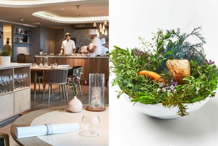 Ilustračný obrázok k článku Najlepšiu reštauráciu sveta nájdete v Kodani: Na tanieri vám prinesú hotové umenie, FOTO