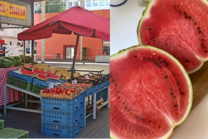 Ilustračný obrázok k článku Melónová sezóna je tu: KDE v Nitrianskom kraji ich pestujú a aké sú CENY?