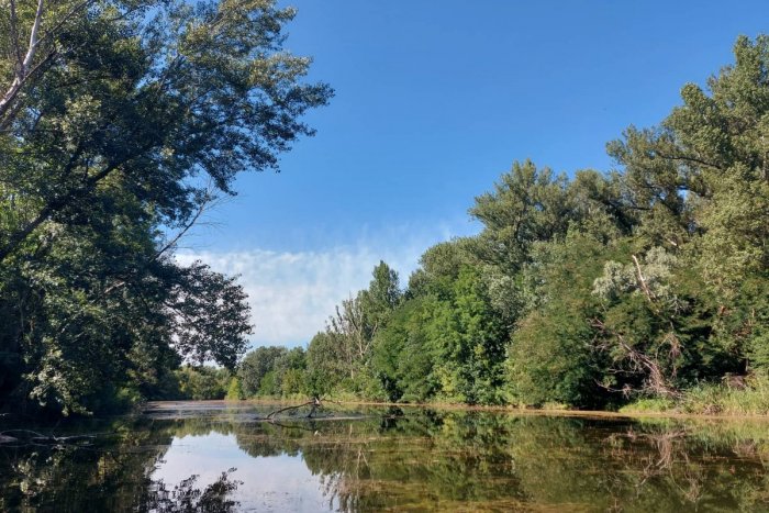 Jarovecké rameno Dunaja