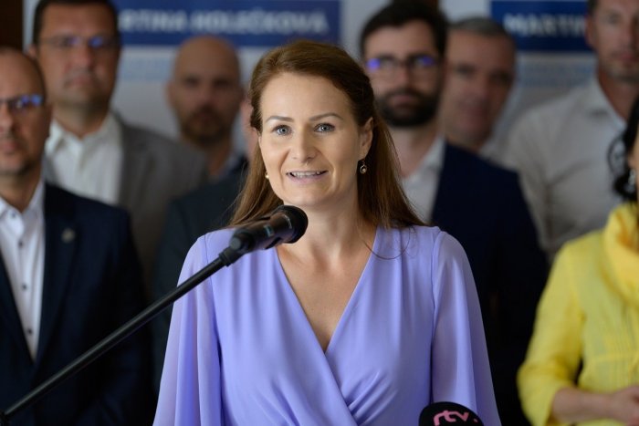 Ilustračný obrázok k článku Martinu Holečkovú podporí vo voľbách 9 strán: Balko aj Gregor sa vzdali kandidatúry