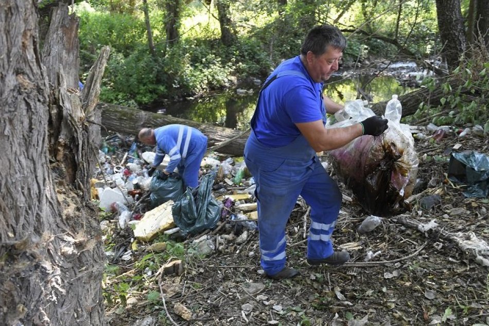 Ilustračný obrázok k článku Zapojte sa do boja proti čiernym skládkam: V Nitre vám pomôže šikovný web