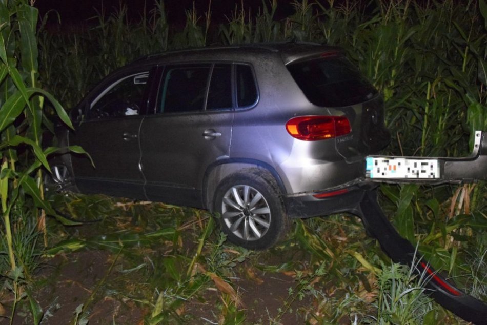 Ilustračný obrázok k článku Opitý vodič nezvládol riadenie: Auto "zaparkoval" v kukurici, FOTO