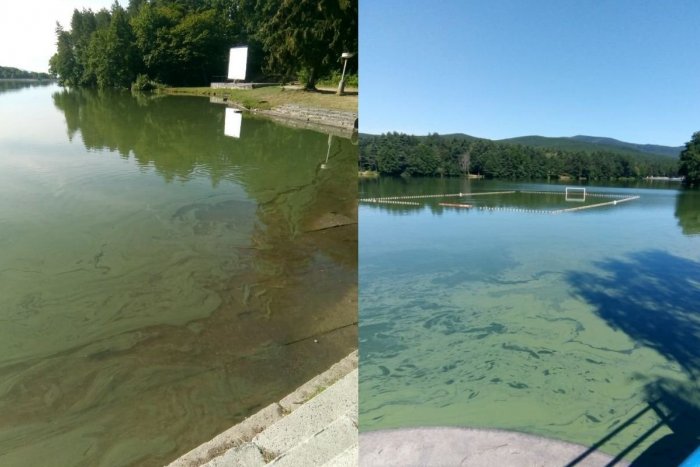 Ilustračný obrázok k článku Prečo by ste sa NEMALI kúpať na Duchonke? Hygienici zverejnili VÝSLEDKY rozborov