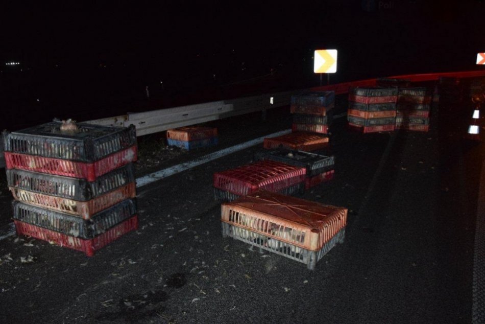 Ilustračný obrázok k článku Kuriózna nehoda pri Trnave: Cestu zasypali debničky plné SLIEPOK!