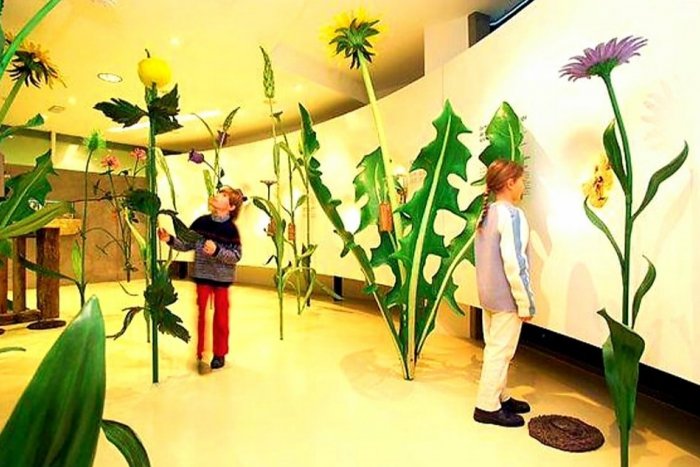 Ilustračný obrázok k článku Topoľčany chcú Centrum environmentálnej výchovy: Radnica podala projekt