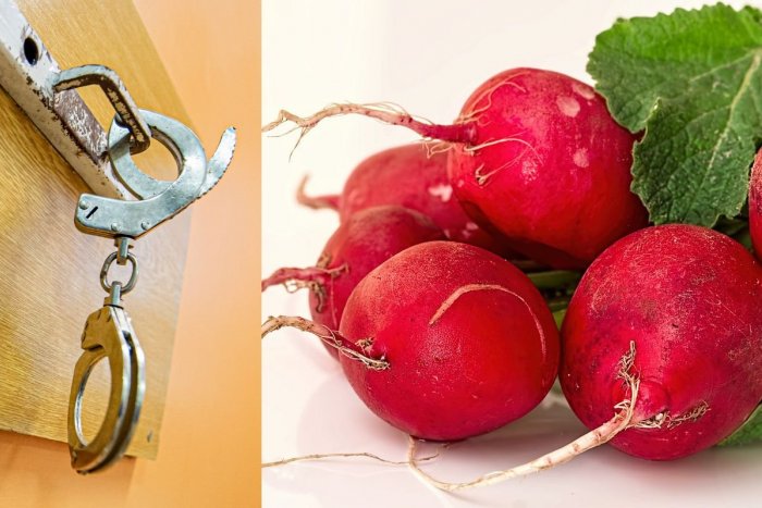 Ilustračný obrázok k článku Odsúdili exšéfku úradu práce: Medzi ÚPLATKAMI mali byť aj paradajky či reďkovky