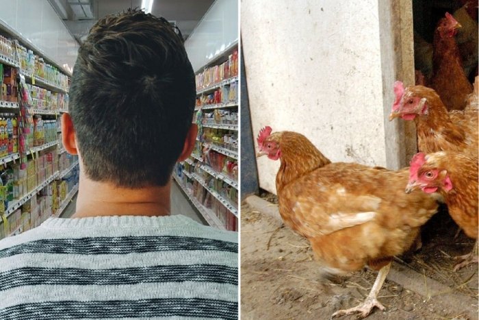 Ilustračný obrázok k článku VEĽKÁ ANKETA: Zdražovanie zmenilo naše návyky: Návrat k sliepkam a uťahovanie opaskov!