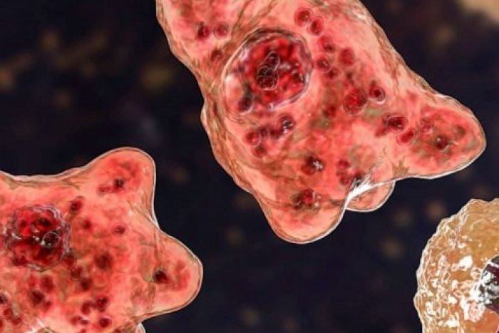 Ilustračný obrázok k článku KRUTÁ smrť! Dieťa zomrelo po tom, čo sa okúpalo v rieke: Môže za to TENTO parazit!