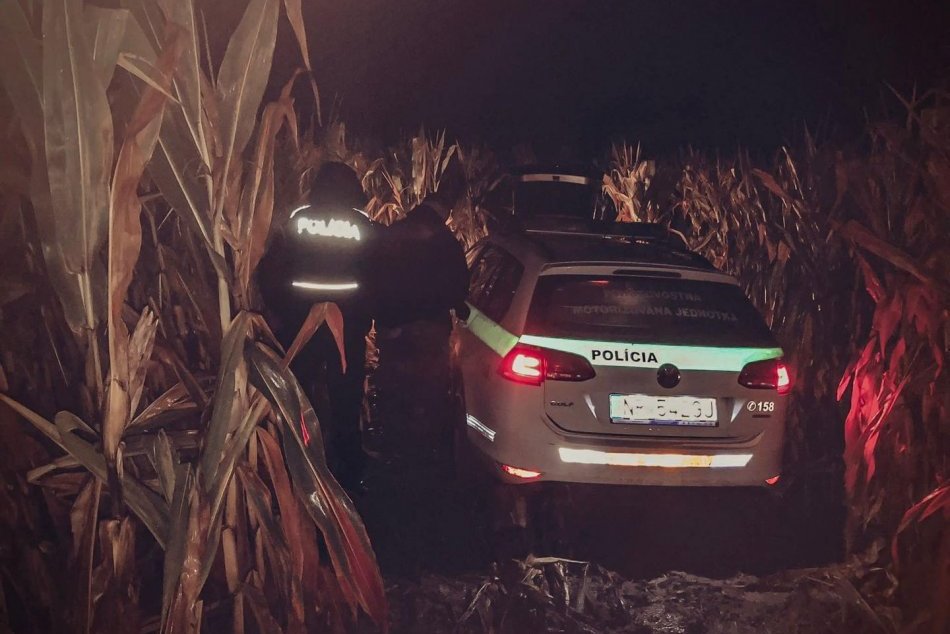 Ilustračný obrázok k článku Muž na úteku takmer ZABIL policajta! Bláznivú naháňačku zastavili až VÝSTRELY