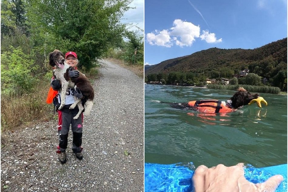 Ilustračný obrázok k článku Záchranár Kajo patrí medzi najlepších psov na svete: Vedie ho Slovenka Dagmar