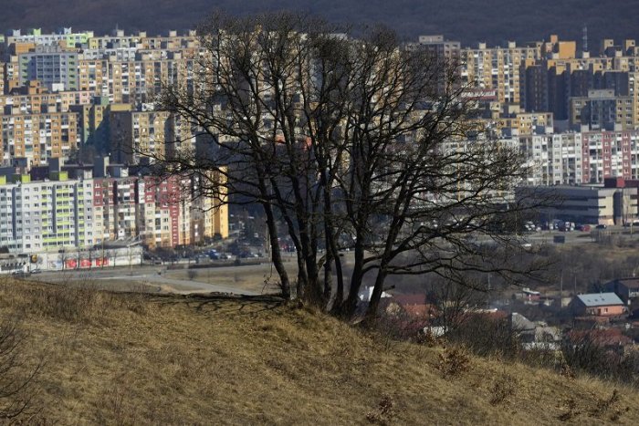 Ilustračný obrázok k článku Na čele košickej MČ Sídlisko Ťahanovce chce byť päť kandidátov