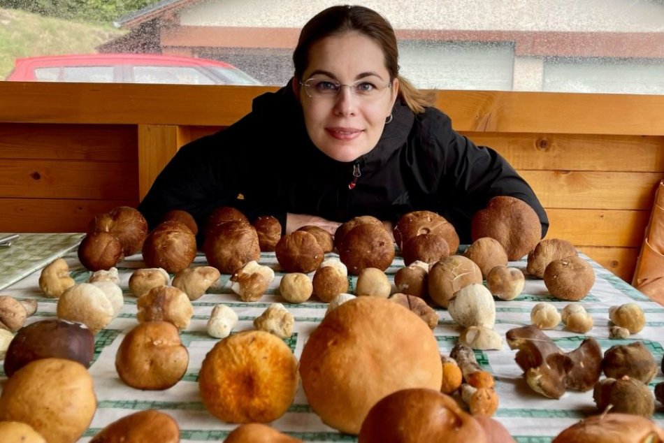 Ilustračný obrázok k článku Zuzana sa pochválila krásnym ÚLOVKOM: Pre plný košík končili huby aj v tričku, FOTO