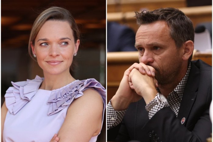 Ilustračný obrázok k článku URAZENÁ Tabák poslancovi Krošlákovi: Janko, ty PRIMITÍV! A potom status zmazala... FOTO