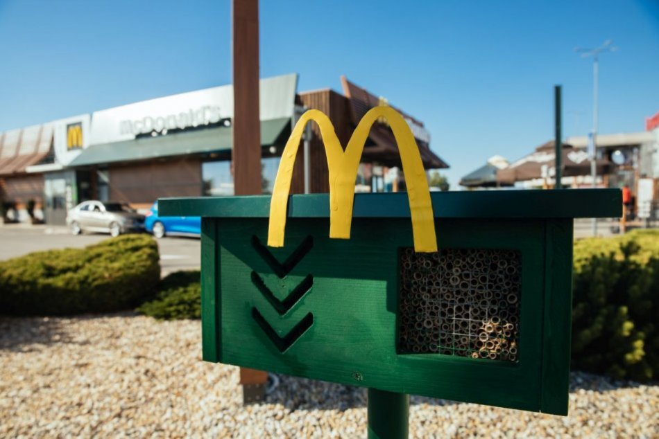 Ilustračný obrázok k článku Pri Mekáčoch vyrástli novostavby hmyzích hotelov